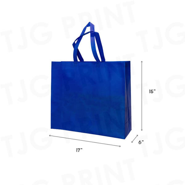 NW25 Square Non-Woven Bag Size