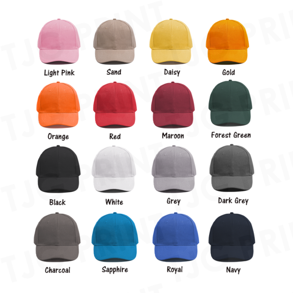 NHC1100 Baseball Cap