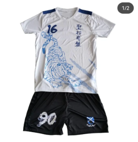 Jersey Top and Shorts